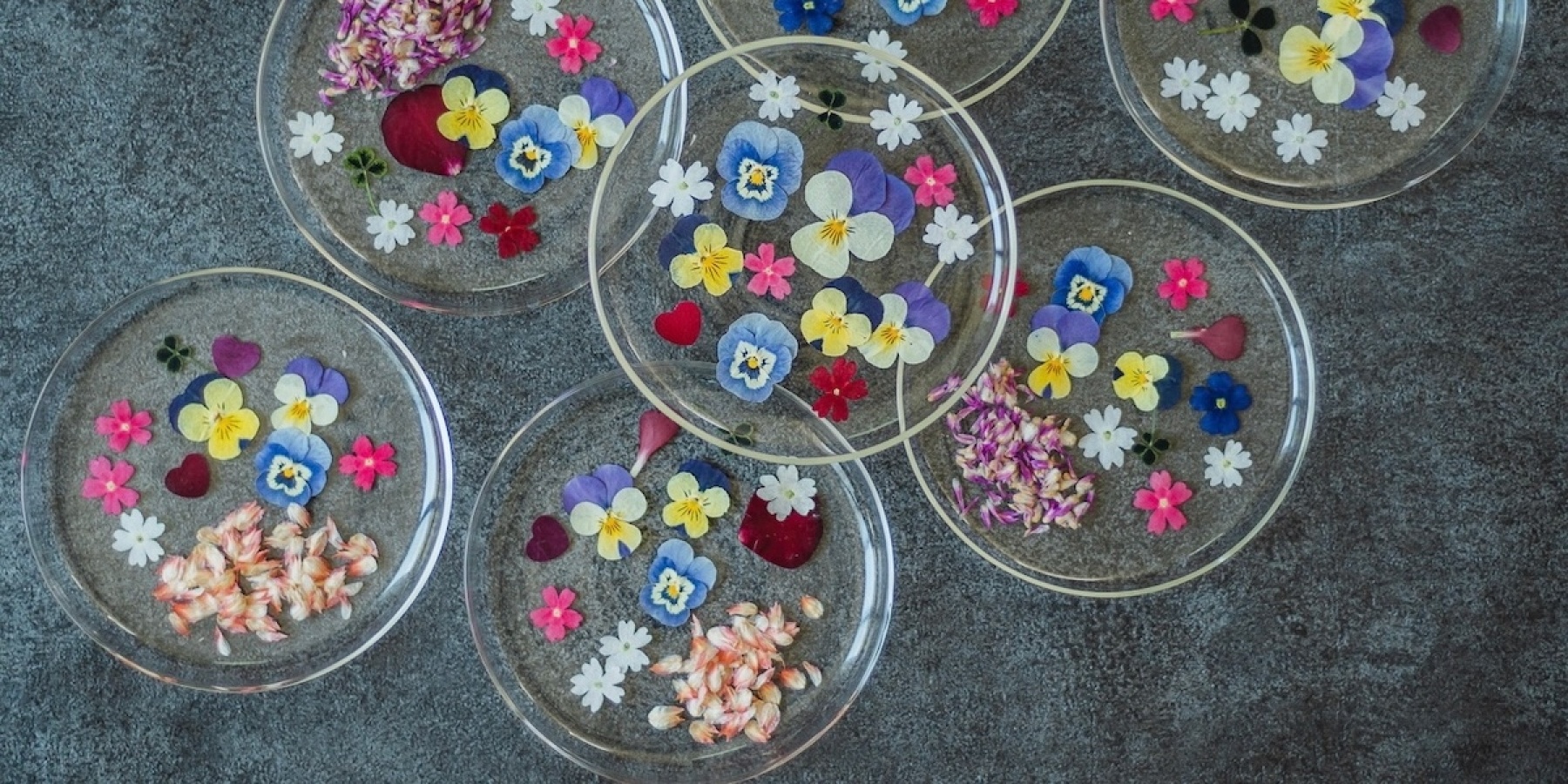 「薔薇のスピリッツ」という
 世界でいちばんの花食体験。
– 後編 – 
