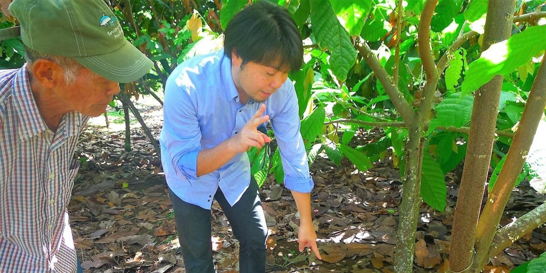 生産者、消費者、環境。オールwinで
カカオをとりまく構造を変える。
<後編>