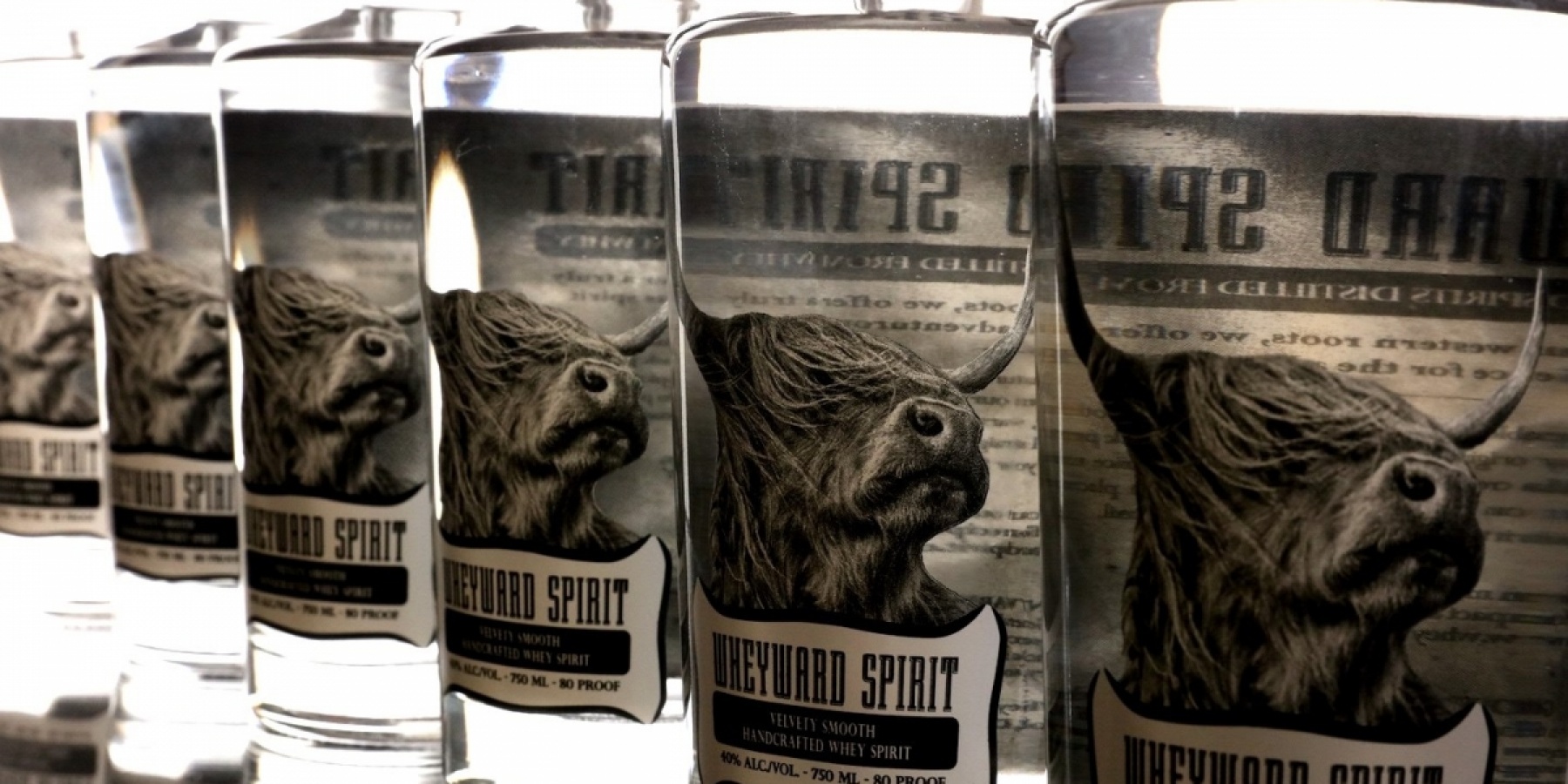 チーズの副産物“スイートホエイ”から作る
サステナブルな「Wheyward Spirit」！
