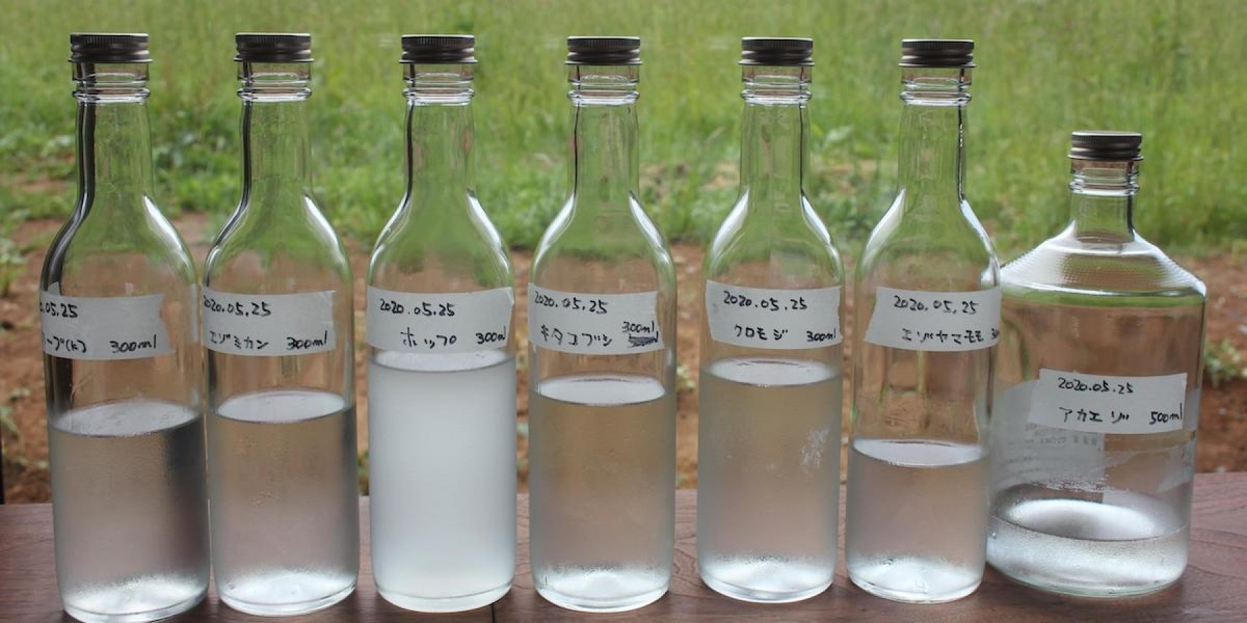 北海道のボタニカル満載、
積丹発のクラフトジンが遂にリリース!
<後編>