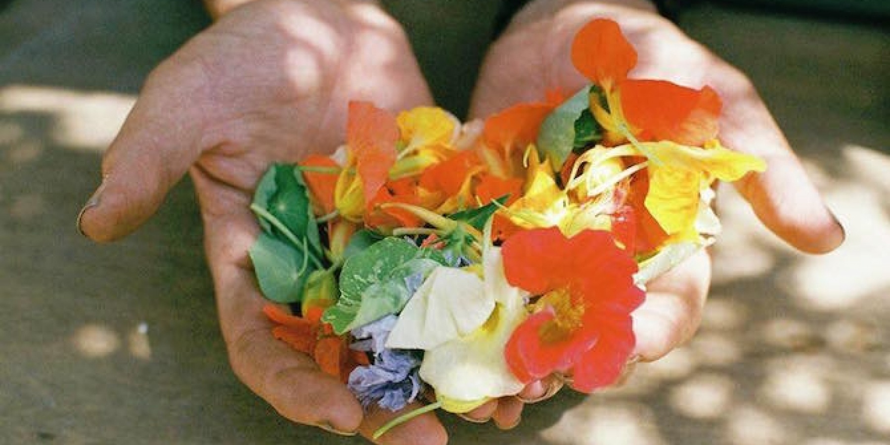 注目の生産者によるボタニカルは
グラスに咲く、生きたアート！
＜後編＞
