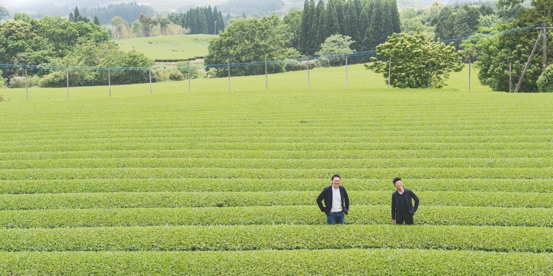 挽きたて・点てたてをかなえるマシン
「Cuzen Matcha」が抹茶カクテルを変える!
– 前編 –