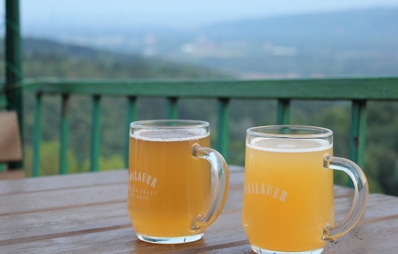オーストリアの秋の風物詩
発酵途中のワイン「シュトルム」って！？
