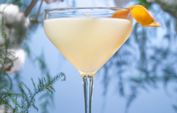 ジン グレープフルーツ ギムレット